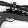 Gamo Coyote Black Whisper