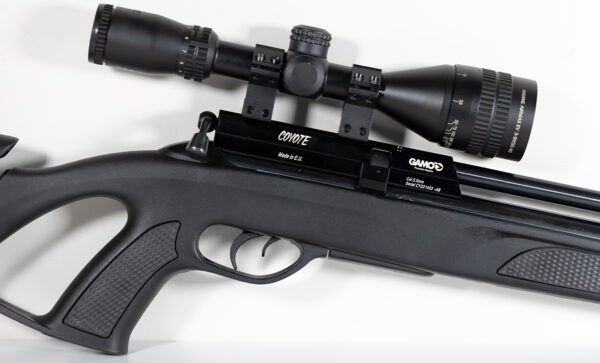 Gamo Coyote Black Whisper