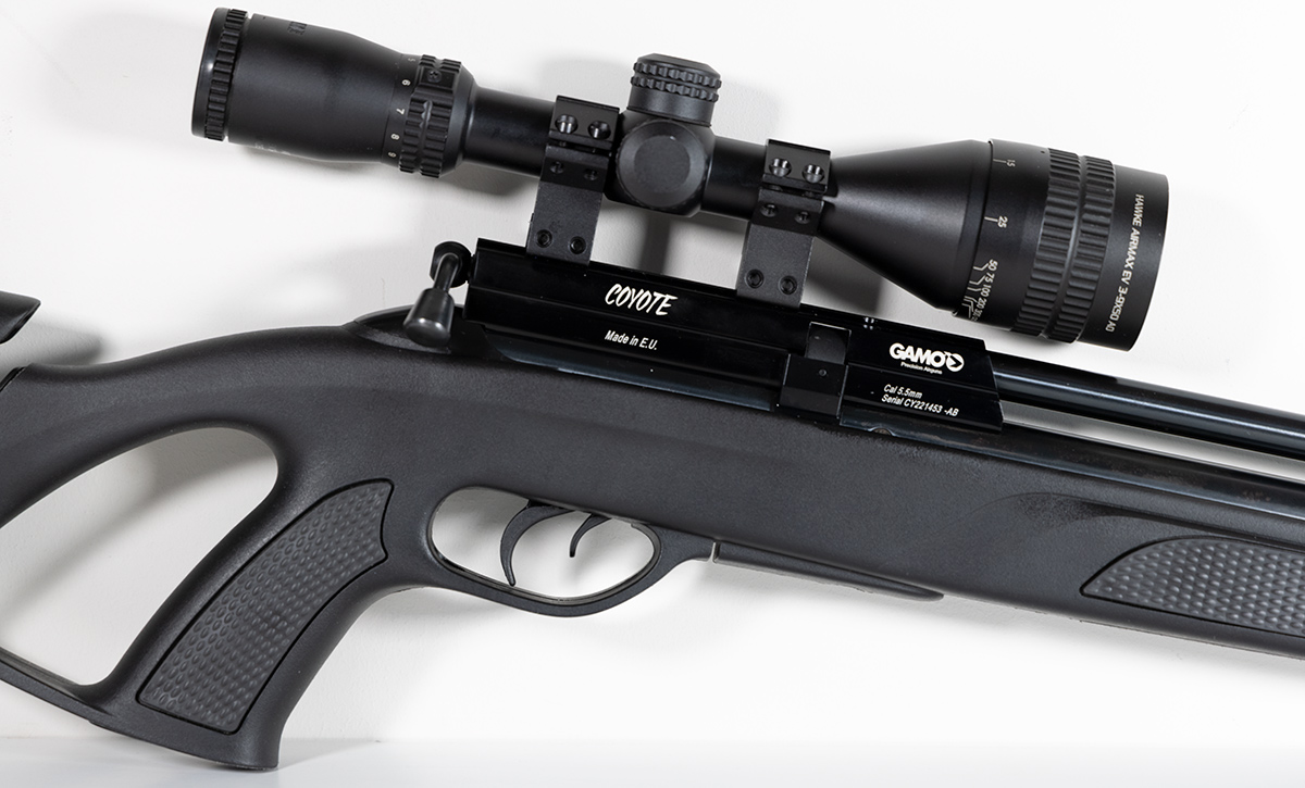 Gamo Coyote Black Whisper